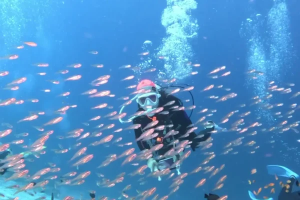 泰國詩米蘭群島潛水目擊船宿潛水實拍